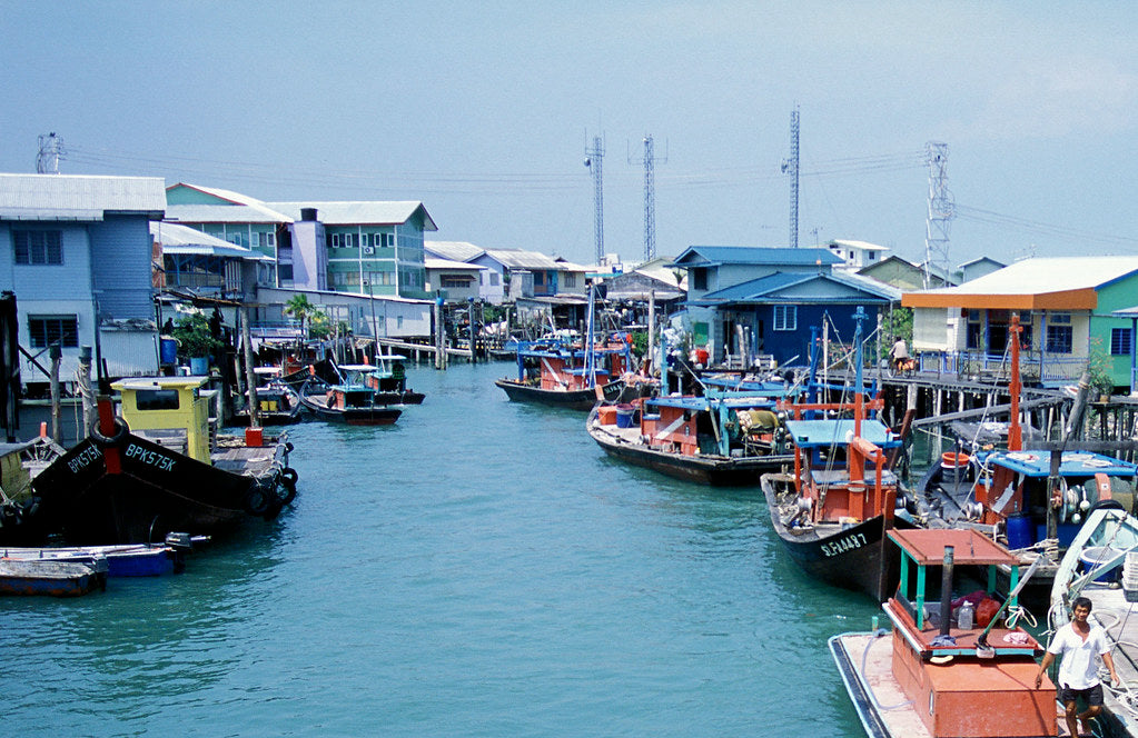 Pulau Ketam Steam Fish Assam Paste 吉胆岛蒸鱼亚参酱